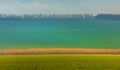 Emerald fields. Spring fog. Winter culture. Royalty Free Stock Photo